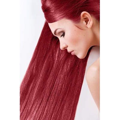 Sanotint Classic farba na vlasy 23 červená ríbezľa