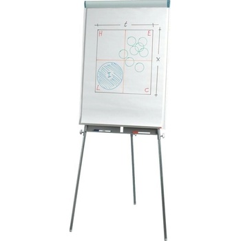 Esselte Flipchart 70 x 100 cm