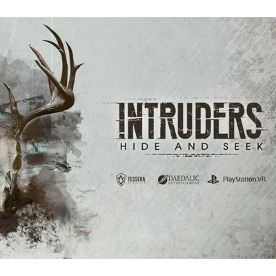 Intruders: Hide and Seek