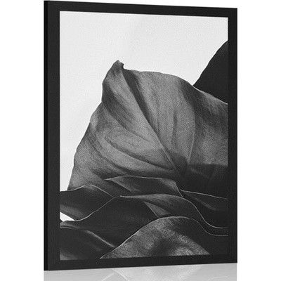 Plakát okouzlující dopis monstery v černobílém provedení - 40x60 silver