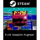 F-19 Stealth Fighter