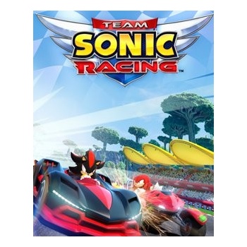 Team Sonic Racing