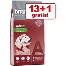 Briantos Adult Active 14 kg