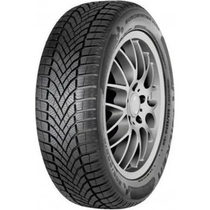Falken EUROWINTER HS02 205/55 R16 91H Автомобилни гуми