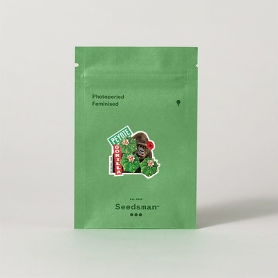 SEEDSMAN Peyote Gorilla semienka neobsahujú THC 1 ks