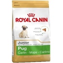 Royal Canin Pug Junior 2 x 1,5 kg