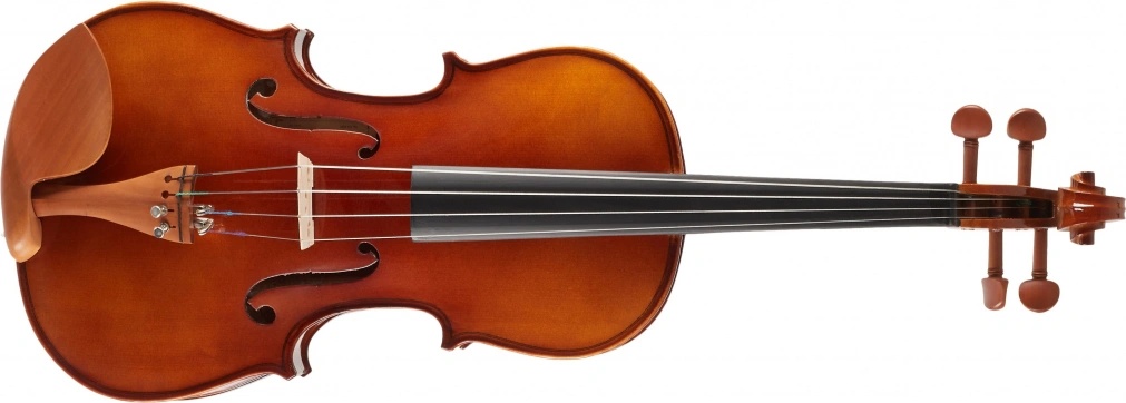 Bacio Instruments GA103 Student Viola 16