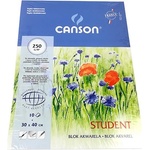 Canson Акварелен картон CANSON 300x400mm 250 gr 10 листа/блок CAP6666-865 (CAP6666-865)