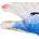 PUMA FUTURE Ultimate NC Goalkeeper Gloves