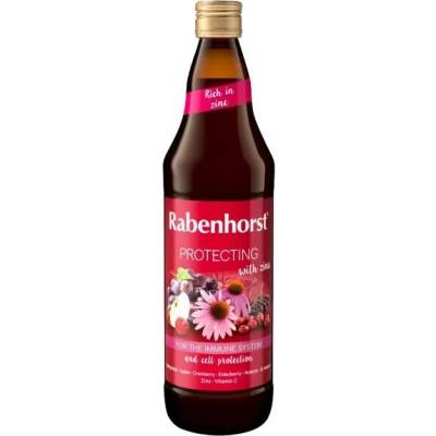 Rabenhorst Ochrana Imunity + Zinek 750 ml
