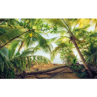 Komar Vliesová fototapeta Piratever 450 x 280 cm