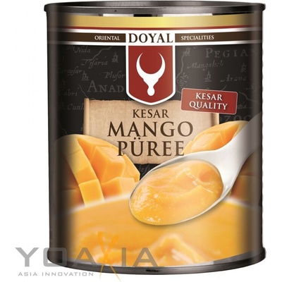 SWAD Kesar Mangové pyré 850 g – Zboží Dáma