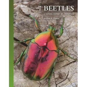 Lives of Beetles | Arthur V. Evans (ISBN: 9780691236513)