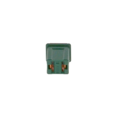 Poistka BOSCH 1 987 529 053