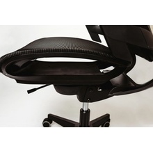 Spinergo Optimal