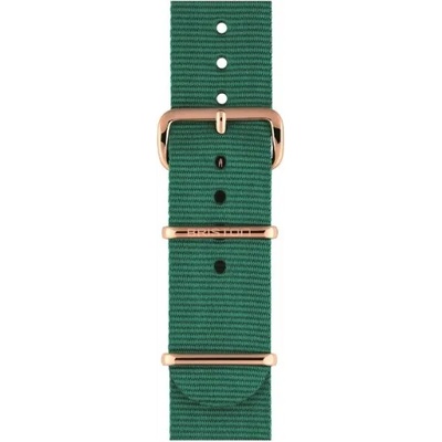 Briston Каишка Briston NS20. PVDRG. M (NS20.PVDRG.M)