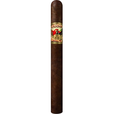 Ashton Cigars Ashton Paradiso Monumento Churchill 1 ks
