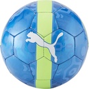 Puma CUP