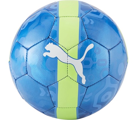 Puma CUP