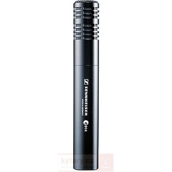 Sennheiser E914