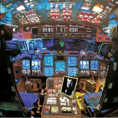 Damaged Bug - Hubba Bubba LP