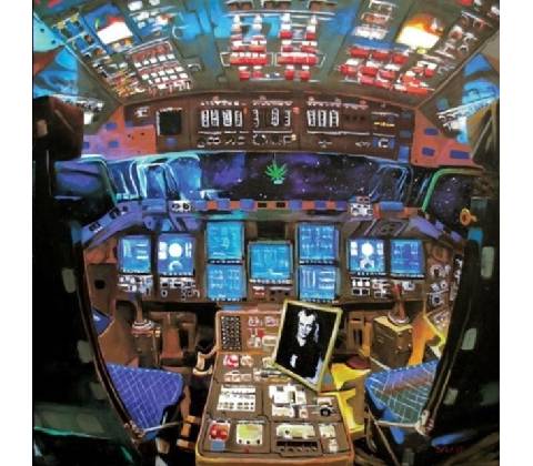 Damaged Bug - Hubba Bubba LP