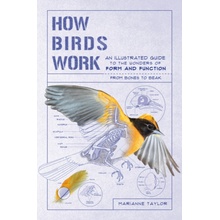 How Birds Work: An Illustrated Guide to the Wonders of Form and Function--From Bones to Beak Taylor MariannePaperback