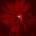 Floating Points - Mere Mortals LP