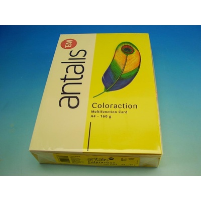 Coloraction 111460