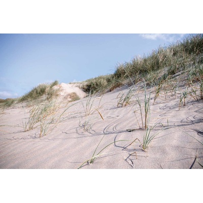 DIMEX ART Флизелинов фототапет пясъчна дюна 375 x 250 см