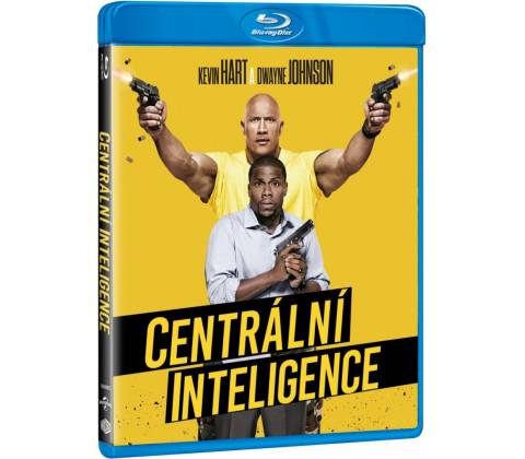 Centrální inteligence BD