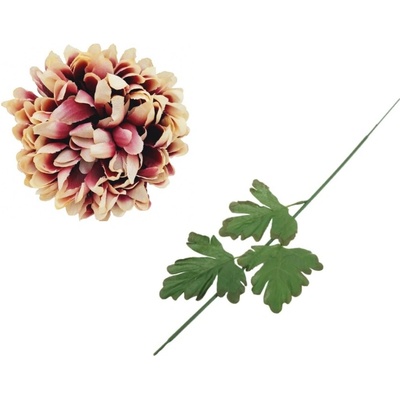 Chryzantéma žíhaná 65 cm, sada 6ks