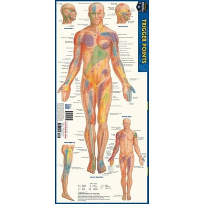 Trigger Points: a QuickStudy Laminated Anatomy Reference Guide Perez ...