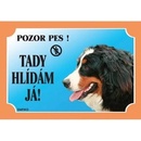 Ostatní pomůcky pro psy Dafiko Tabulka bernský salašnický pes