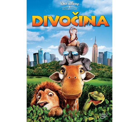 Divočina DVD