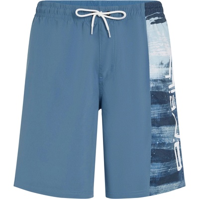 O'Neill Retro 19 xxl