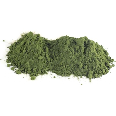 Algea Feed Spirulina Sladkovodní řasa pro ryby 500 g