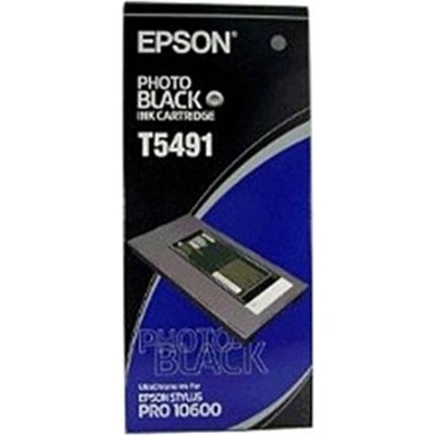 Epson T5491 Photo Black - originálny