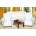 BellaTEX Калъф за диван Micro 3+1+1 невзрачен Bellatex Bellatex | Byal | Home | UNI