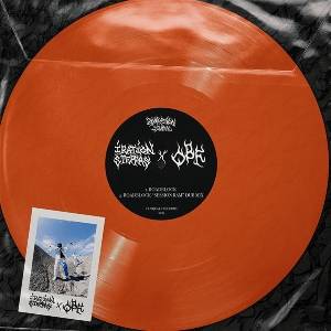 Iration Steppas & O. B. F - Roadblock / Calling Jahovia (LP) (3760248838144)
