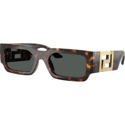 Versace VE4506U 108/87 (VE4506U 108/87)