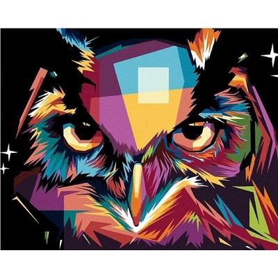 zuty Malování Podle Čísel Portrét Barevná Sova 80 x 100 Cm Plátno Rám