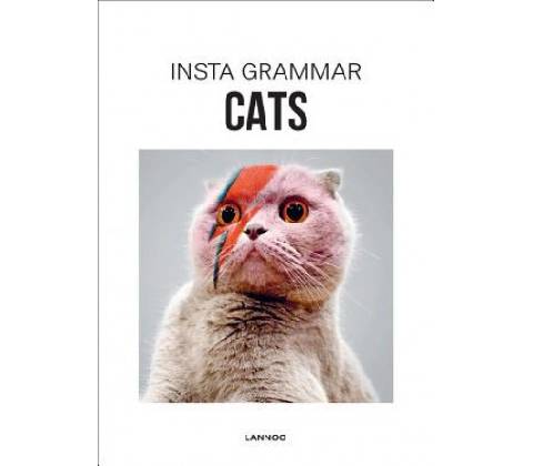 Insta Grammar: Cats