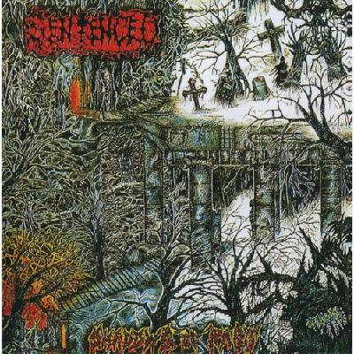 Sentenced Shadows of the Past CD