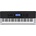 Casio CTK 4400