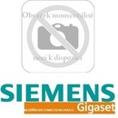 Siemens Gigaset A580 IP