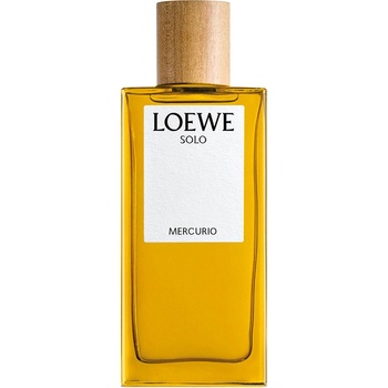 Loewe Solo Mercurio parfumovaná voda pánska 100 ml tester