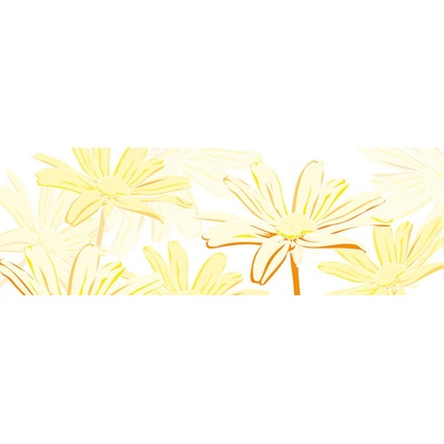 Dimex M-324 vliesová fototapeta na zeď Marguerite yellow rozměry 330 x 110 cm