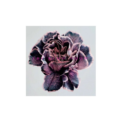 SLOW SHOW - STILL LIFE CD