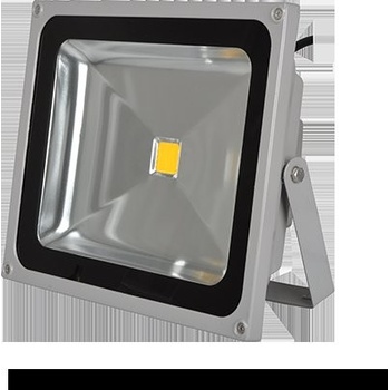 RLL 150 LED FL 50W RETLUX